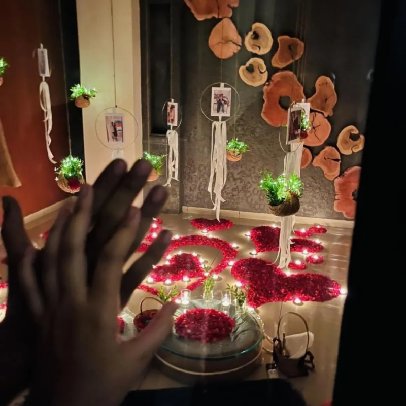 Setup 6: Timeless Bond Glass House βΎοΈππ‘